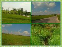 Majowa wędrówka i nabożeństwo majowe KTP 'Przygoda"