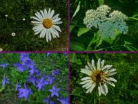 „Przez całe życie z plecakiem…”- wyprawa klubu „Przygoda” śladami dr Mieczysława Orłowicza