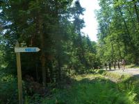 „Przez całe życie z plecakiem…”- wyprawa klubu „Przygoda” śladami dr Mieczysława Orłowicza