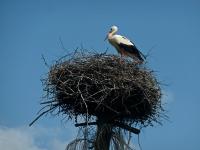 „Przez całe życie z plecakiem…”- wyprawa klubu „Przygoda” śladami dr Mieczysława Orłowicza