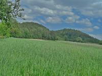 „Przez całe życie z plecakiem…”- wyprawa klubu „Przygoda” śladami dr Mieczysława Orłowicza