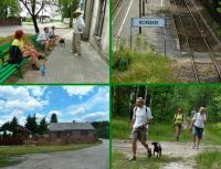 Wspomnienia z XX jubileuszowej 50- tki Koneckiej