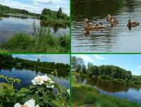 Wspomnienia z XX jubileuszowej 50- tki Koneckiej