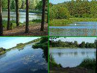 Wspomnienia z XX jubileuszowej 50- tki Koneckiej