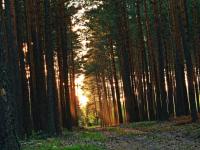 Wspomnienia z XX jubileuszowej 50- tki Koneckiej