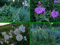 Wspomnienia z XX jubileuszowej 50- tki Koneckiej