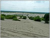 Pustynia Błędowska