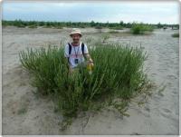 Kwiat pustyni??? ;-)))