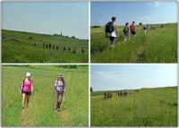 Idziemy w kierunku Błędowa