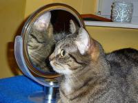 ZUZA była jednak kokietką