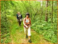 21 lipca 2012- XII Opoczyński Maraton Pieszy na 50 km- wspomnienia...