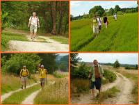 21 lipca 2012- XII Opoczyński Maraton Pieszy na 50 km- wspomnienia...