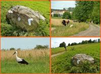 21 lipca 2012- XII Opoczyński Maraton Pieszy na 50 km- wspomnienia...