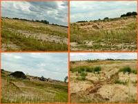 21 lipca 2012- XII Opoczyński Maraton Pieszy na 50 km- wspomnienia...