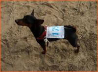 21 lipca 2012- XII Opoczyński Maraton Pieszy na 50 km- wspomnienia...