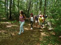 Wchodzimy na Wysokówkę