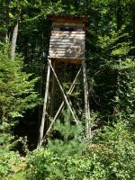 Budka myśliwska- foto ze specjalną dedykacją dla naszego Adrianka