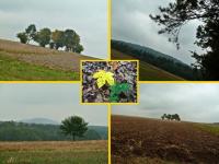 Kuźniaki juz blisko... widoczki Świętokrzyskie