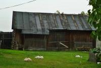 XI Supermaraton Pieszy na 100 km "SETKA KONECKA"