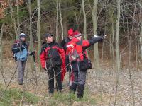 już wszystko wiadomo... chyba...