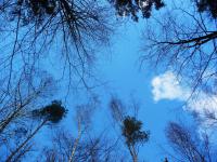 Lazur nieba... raz jeszcze... :-)))