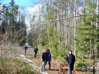 Ach, to marcowe słoneczko...