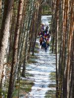 tak nas wiodły leśne dukty i ścieżki...