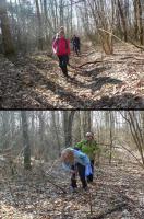 trzeba było przedzierać się przez tunel z gałęzi