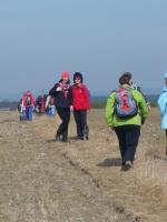 Chyba wszystko w porządku... ASIA i RENIA czuwają;-))