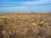 jak sięgnąć okiem- pole...