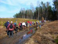 wychodzimy chyba na prostą