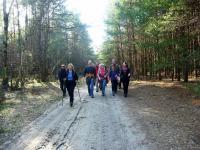 leśna droga prowadzi nas... ;-))