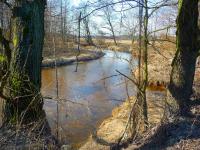 "Płynie, wije się rzeczka... "- CZARNA STASZOWSKA