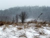 A zadymka w polu gna...