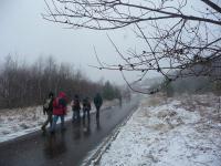 ... a my dalej do przodu... na KLONÓWKĘ...