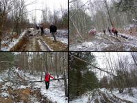 W drodze na Radostową