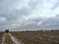 VII 25-TKA ŚWIĘTOKRZYSKA