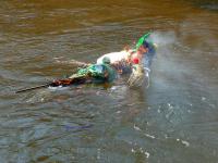 płyń MARZANNO do morza...