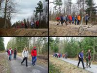 Jak miło tak sobie wędrować