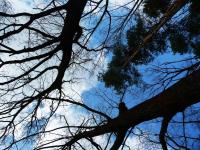 lazur nieba... to lubię...