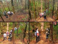 Z górki na pazurki...