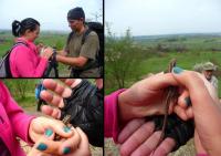 Gosia, Tomek i "ZWINNA ISTOTKA";-))