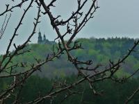 Cóż... po prostu Karczówka