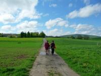 Idę sobie z Henryczkiem