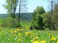 Chłopaki poczekajcie na mnie!!!!!;-)))