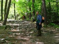 Na szlaku królewskim