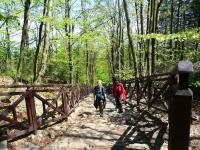 jesteśmy PRAWIE na Sw. Krzyżu