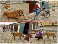 Pożegnanie sezonu rowerowego- ostatni, oficjalny rajd klubu "Kigari"