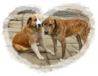 Pożegnanie sezonu rowerowego- ostatni, oficjalny rajd klubu "Kigari"