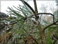 Powoli opuszczamy Zelejową i "szadziowe królestwo"